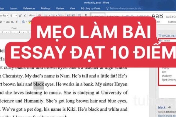 MẸO LÀM BÀI ESSAY ĐẠT ĐIỂM 10